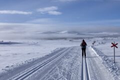 En vinter i fjällen